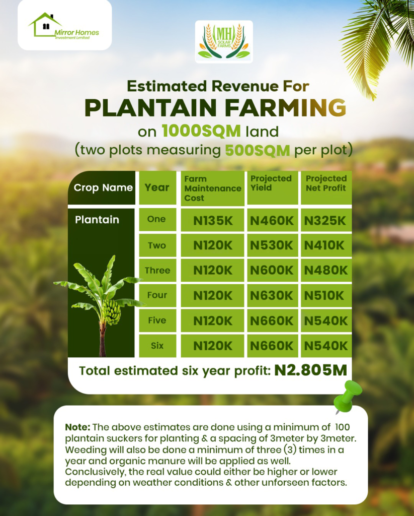 1000 sqm Plaintain