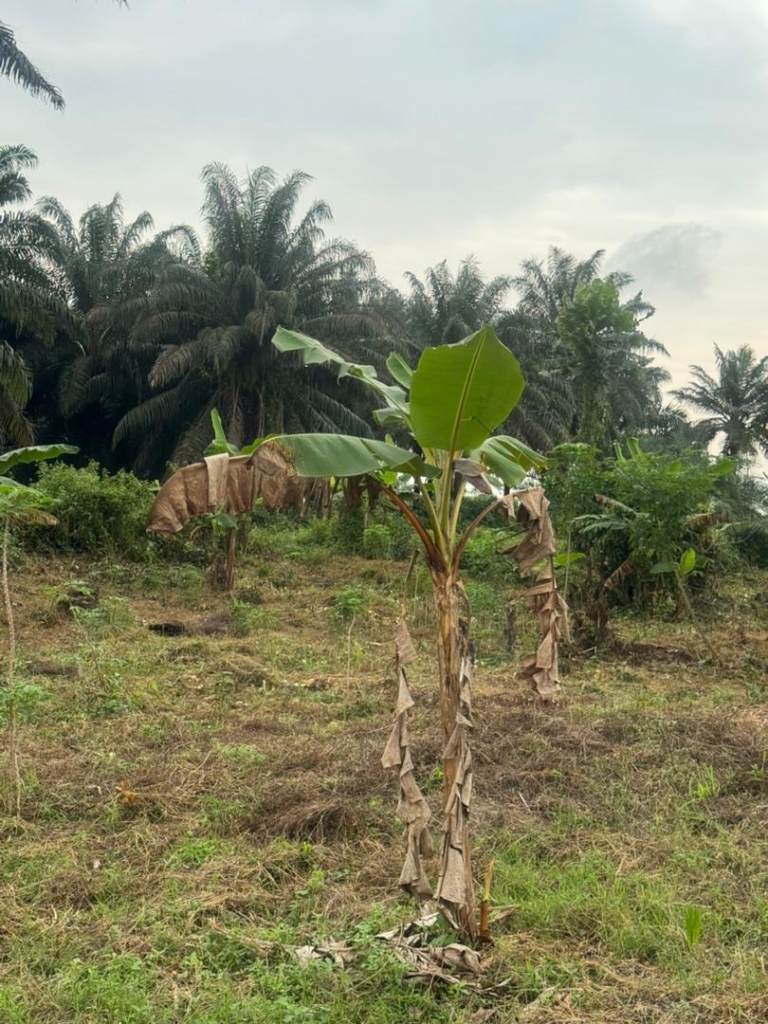 WhatsApp Image 2025-11-11 at 11.51.23