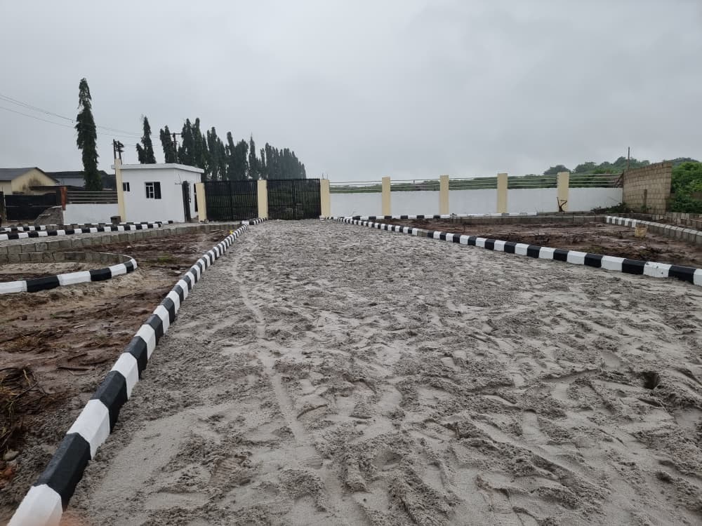 WhatsApp Image 2025-11-13 at 15.35.28