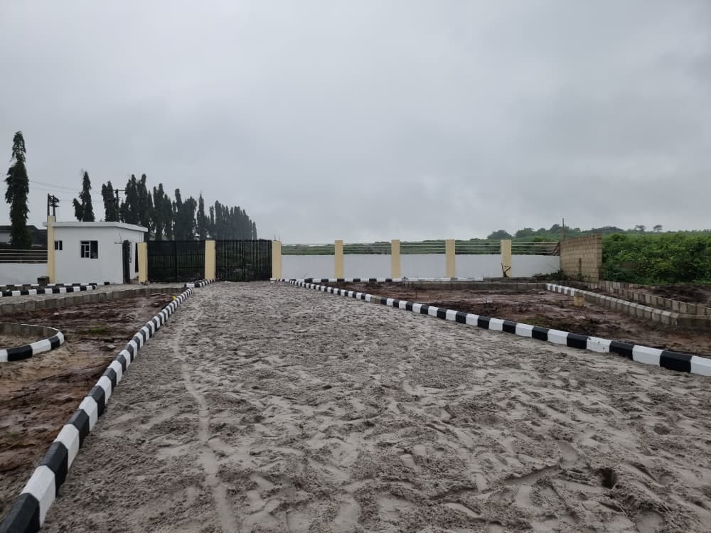 WhatsApp Image 2025-11-13 at 15.35.31