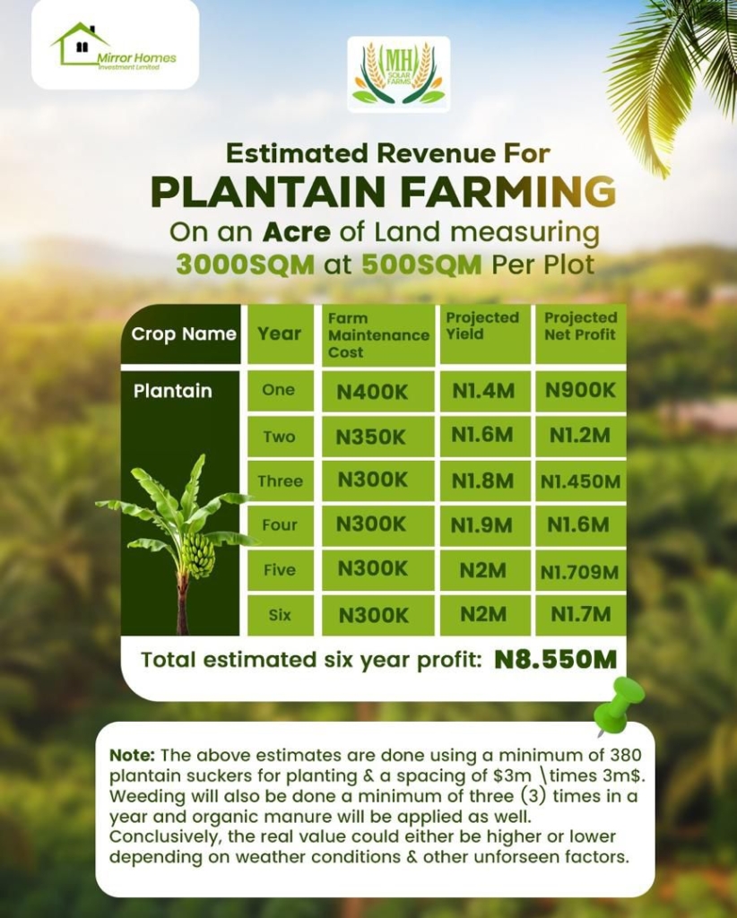 MH Resort and Farm II-Plaintain farming