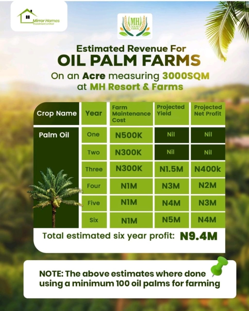 MH Resort and Farm II_Oil Palms