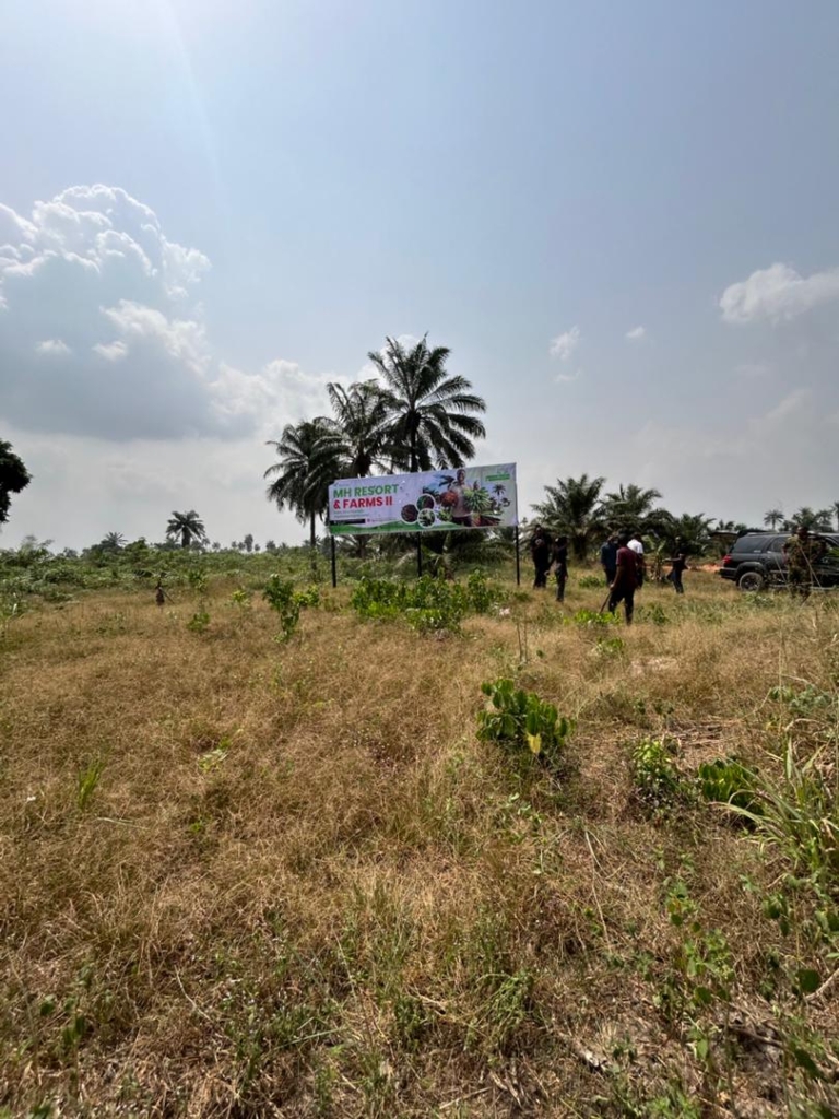 WhatsApp Image 2026-01-31 at 14.18.18