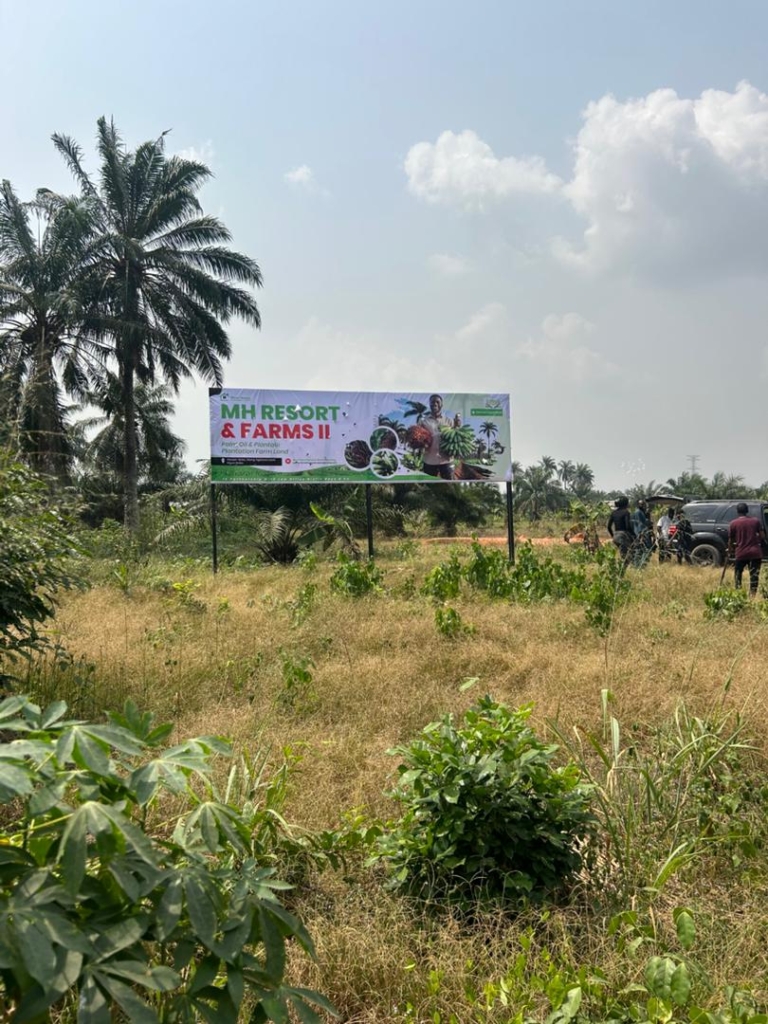 WhatsApp Image 2026-01-31 at 14.18.19