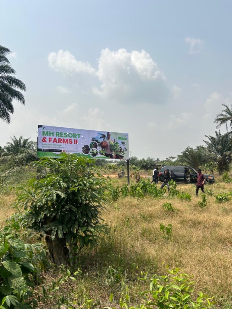 WhatsApp Image 2026-01-31 at 14.18.22